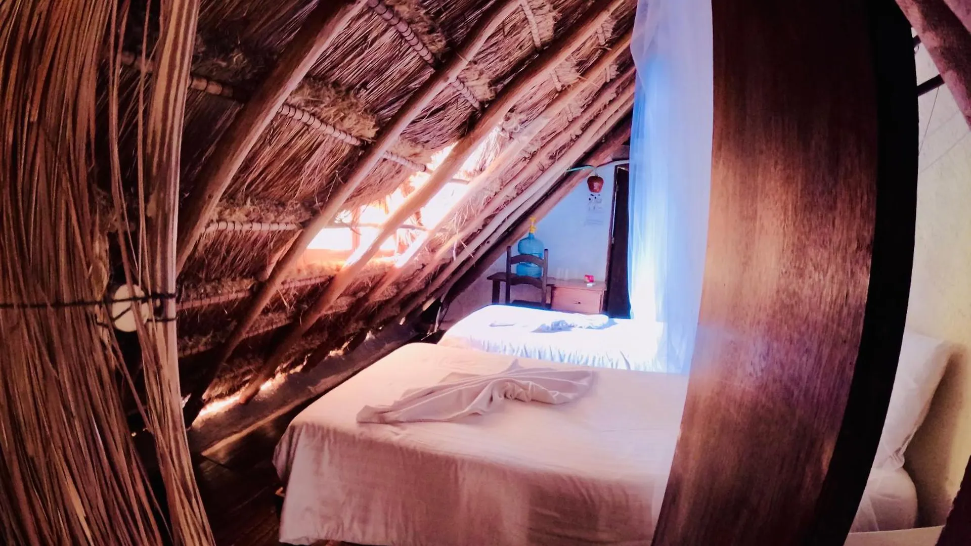Apart Hotel Casaejido Плая-дель-Кармен